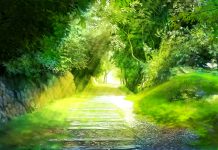 A e ke parë xhenetin? – Përshkrim i Xhenetit